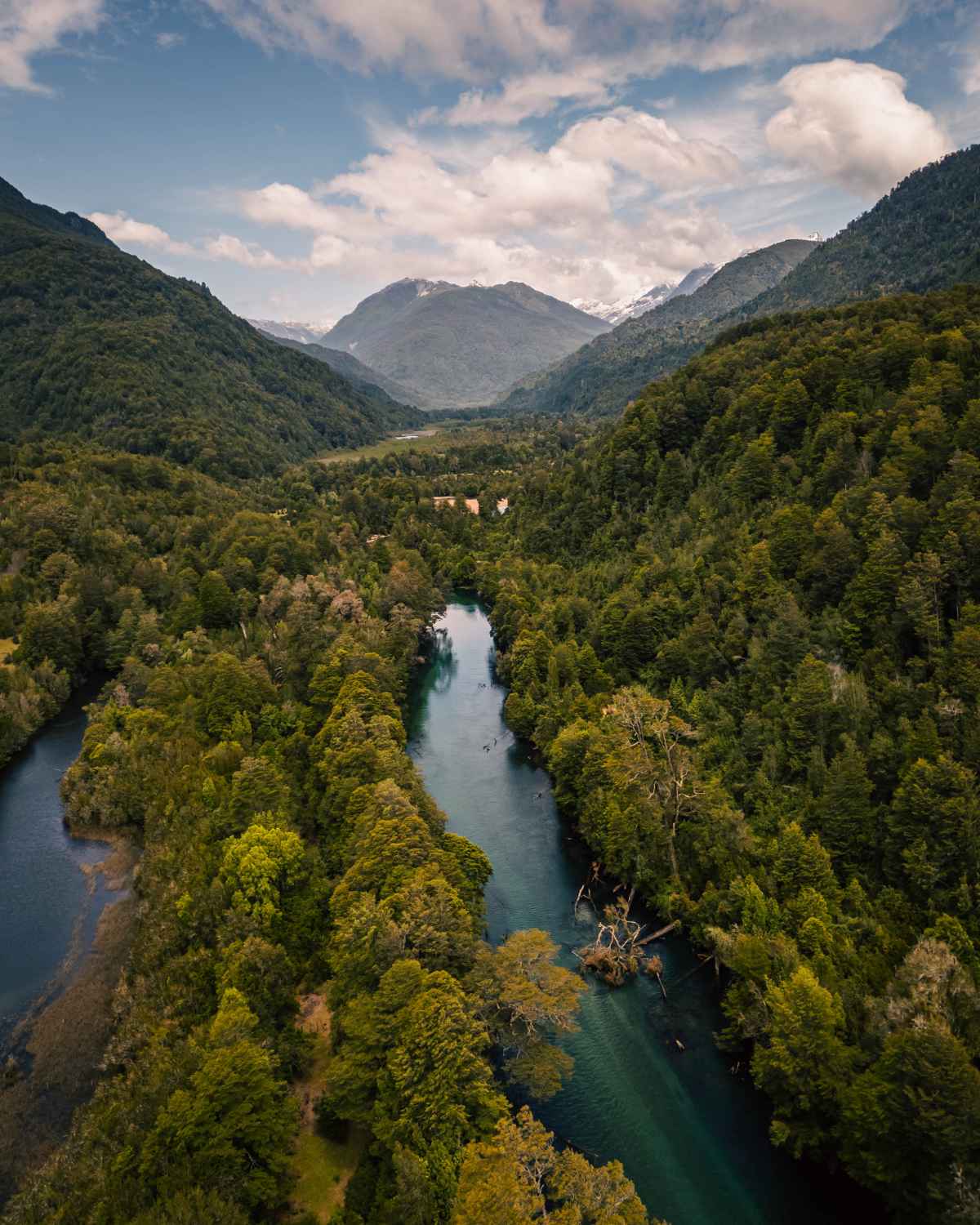 Vista aérea de río entre bosques nativos y montañas nevadas